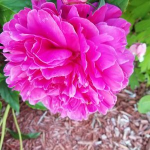 Meet your Posher, Ruth